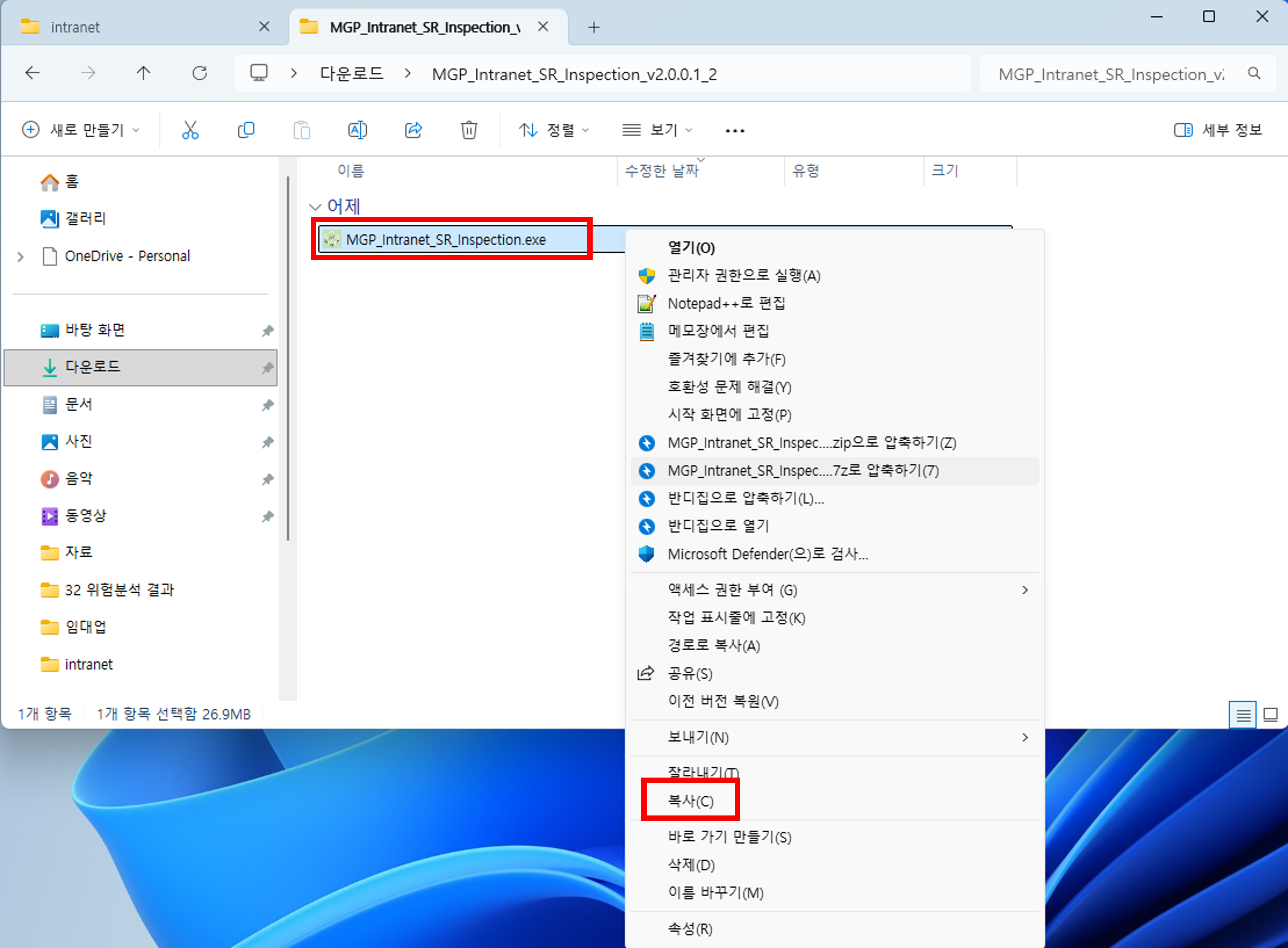 압축해제된 exe 파일 복사 화면