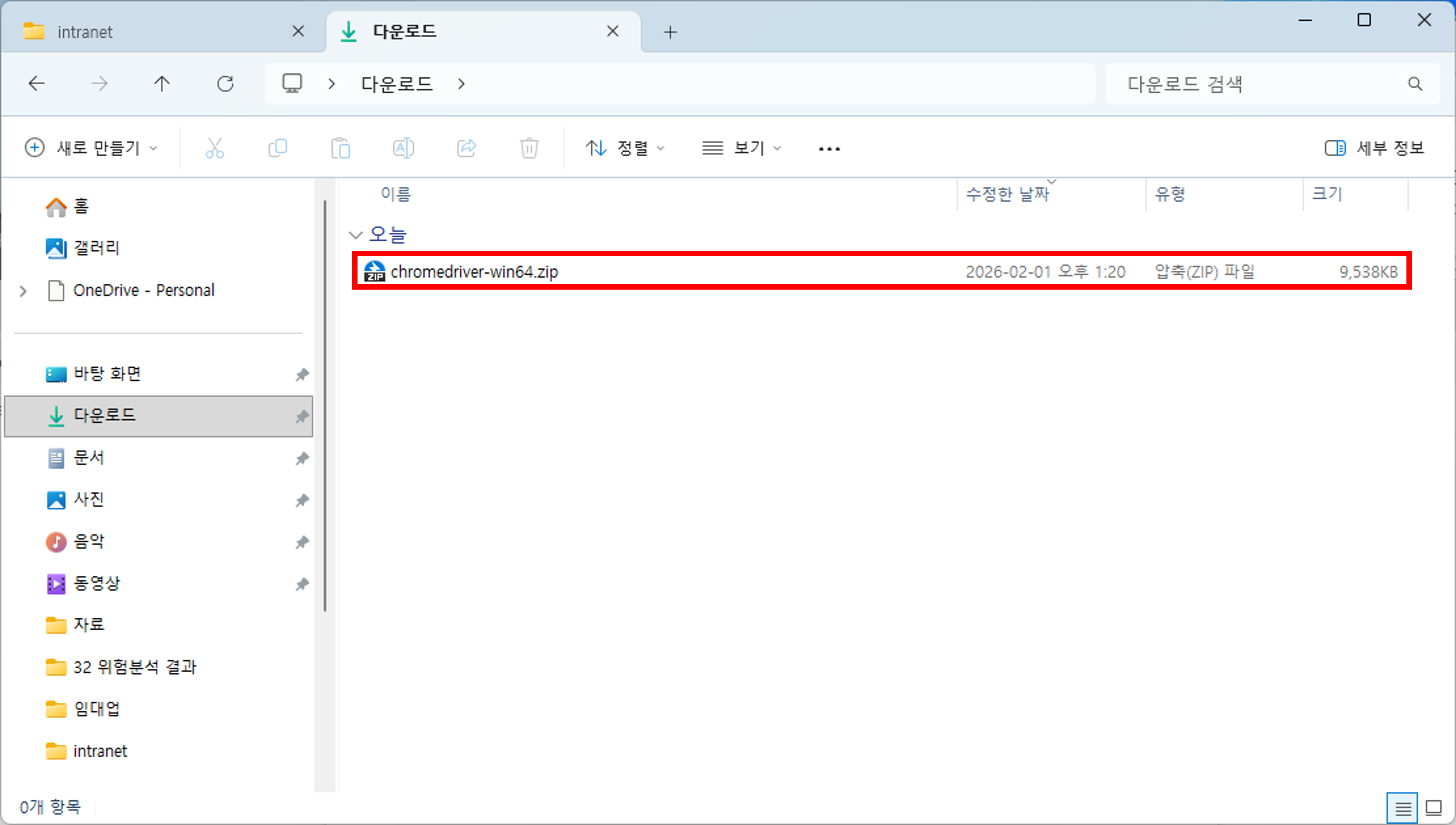 chromedriver 압축 파일